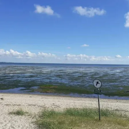 Дом отдыха Luxury Retreat In Romo - By Traum *