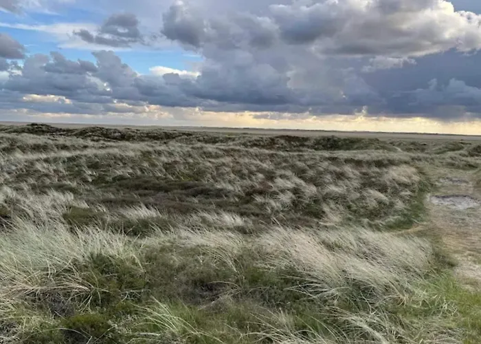 Luxury Retreat In Romo - By Traum Sønderby