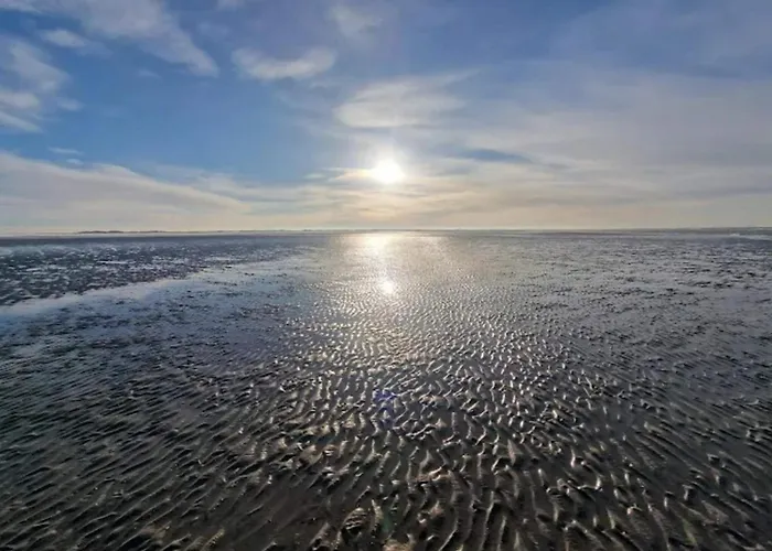 Luxury Retreat In Romo - By Traum * Sønderby