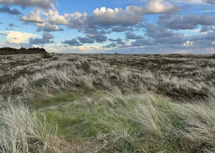 Luxury Retreat In Romo - By Traum * Sønderby