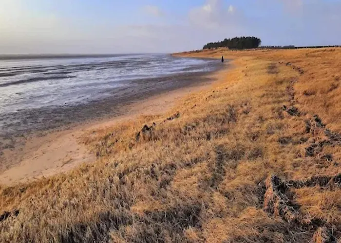 Luxury Retreat In Romo - By Traum Sønderby